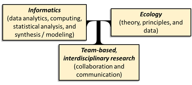 Graphic showing the 3 areas linked in the T3 program: Informatics, Ecology, and Team-based interdisciplinary research