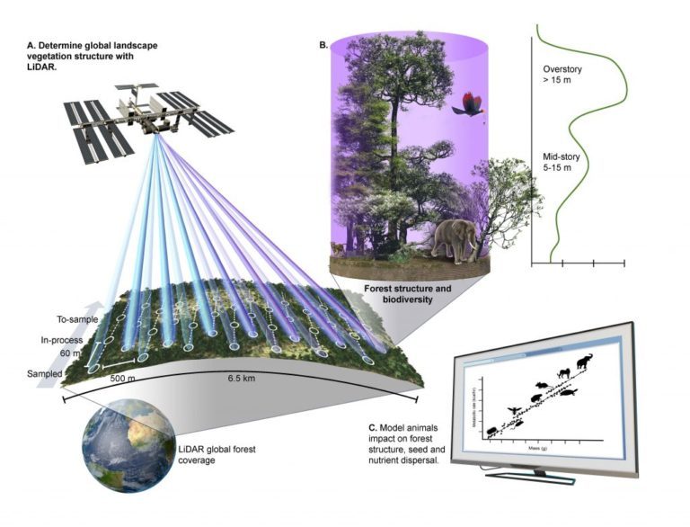Figure from journal article showing process of using remote sensing data to model ecological processes