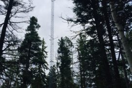 Picture of flux tower in Ponderosa Pine forest