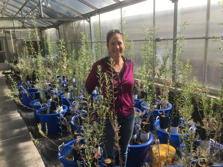 Picture of student in greenhouse surrounded by plants