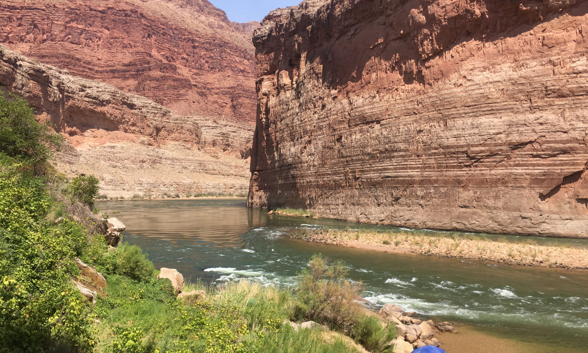 Picture of rafts at Vaseys Paradise in Grand Canyon