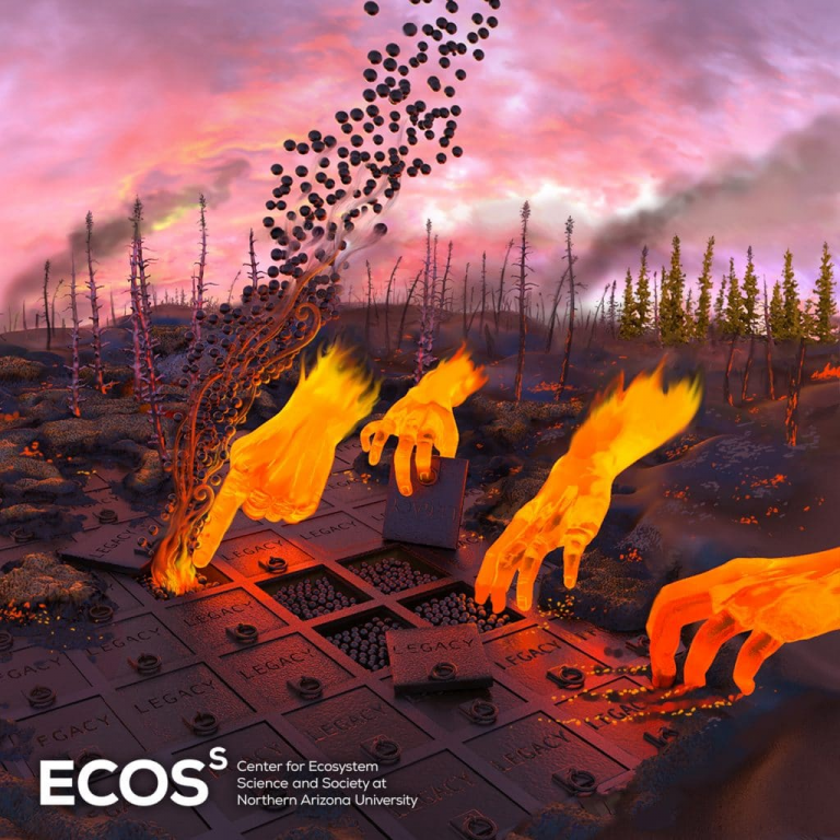 Illustration of fires releasing carbon