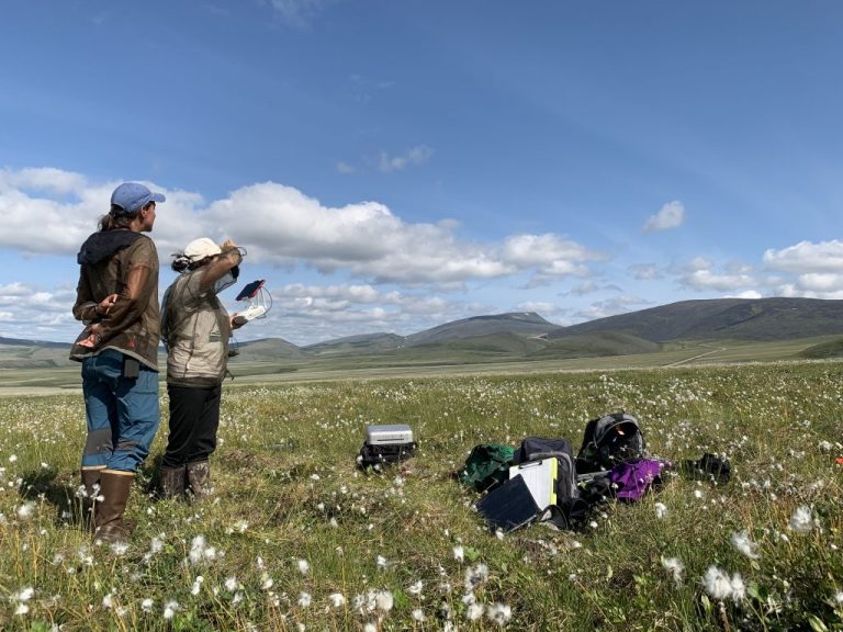 Two grad students use an ipad to monitor a drone as it completes its flight in a cottongrass tundra. Photo from NASA Earth Expeditions page.
