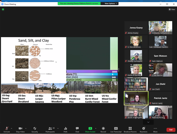 Screenshot of Zoom Meeting